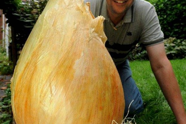 Ссылки на сайты в даркнете