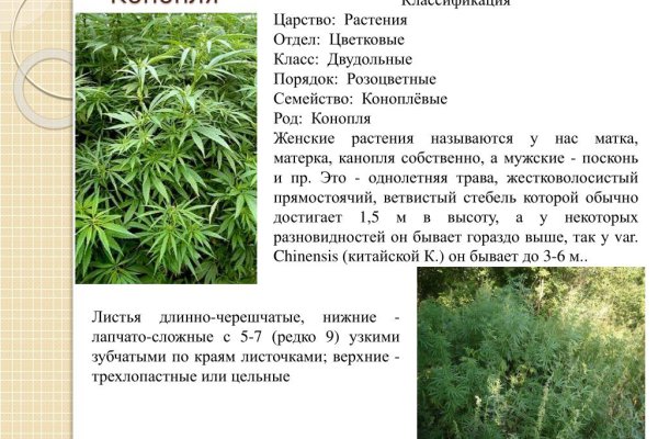 Не могу зайти в аккаунт кракен