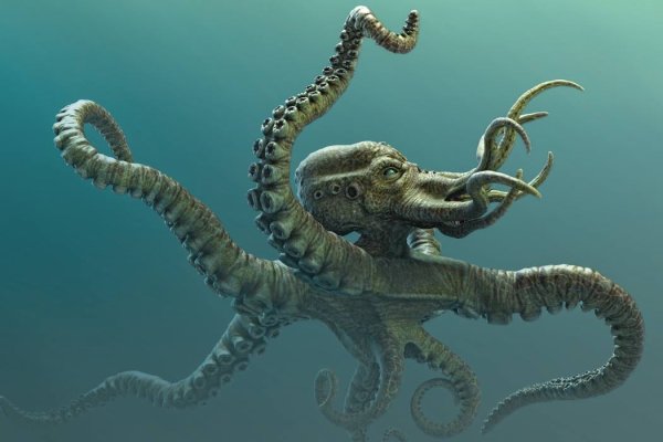 Kraken даркнет рынок ссылка
